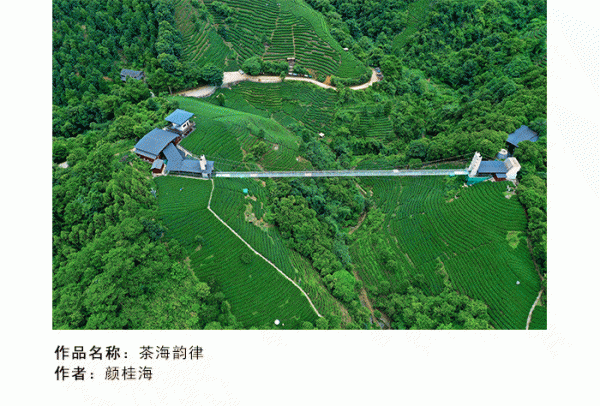 微信号4_16.gif