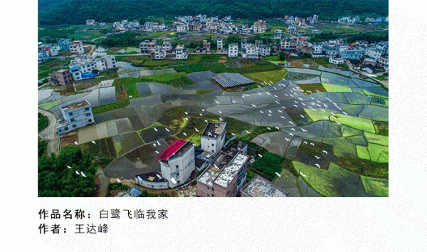 微信号4_01.gif