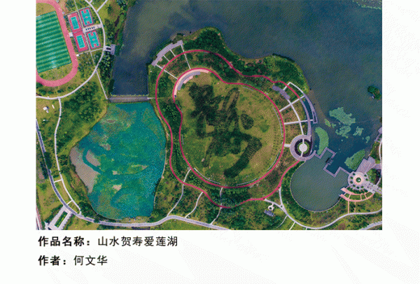 微信号_15.gif