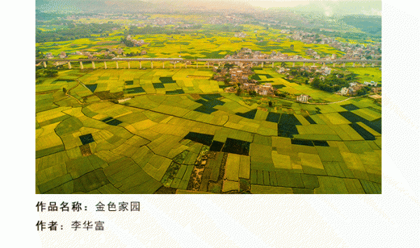 微信号2_06.gif