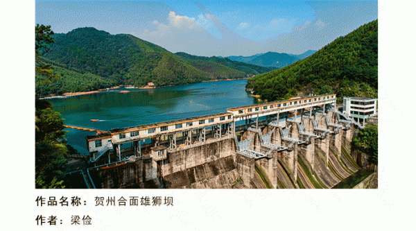 微信号2_10.gif