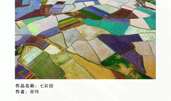 微信号4_13.gif