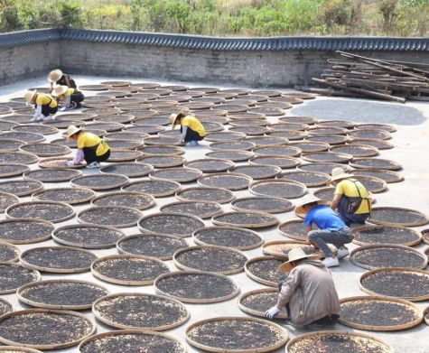 “非遗过大年——文化进万家” 2023年贺州市迎新春非遗文创产品线上展  （黄姚豆豉加工技艺）