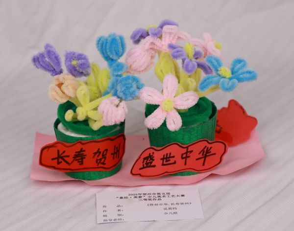 三胜世中华 长寿贺州.JPG